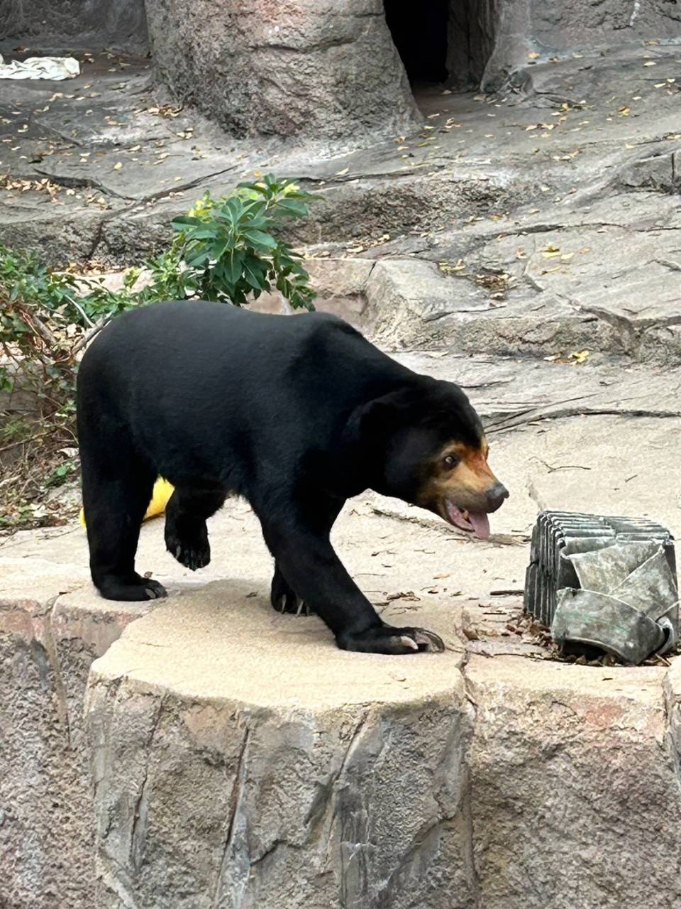 動物園