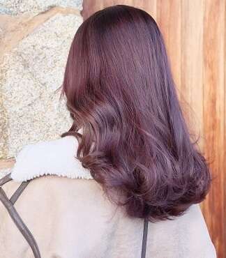 パールヴァイオレット