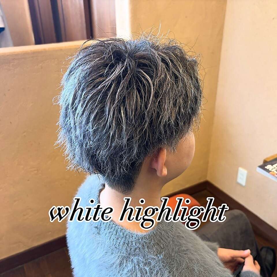 ホワイトメッシュ