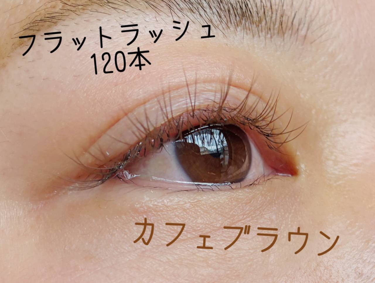 マツエクカフェブラウン