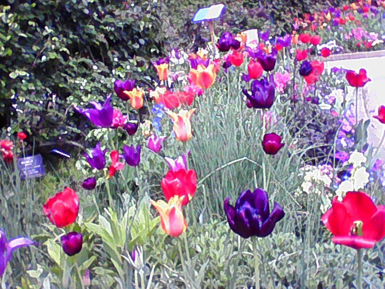 20260506144335_1.jpg