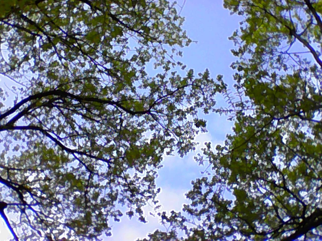 20260506144337.jpg