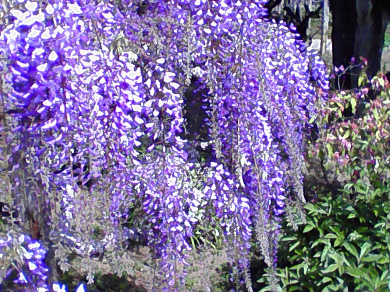 20260506144337_1.jpg