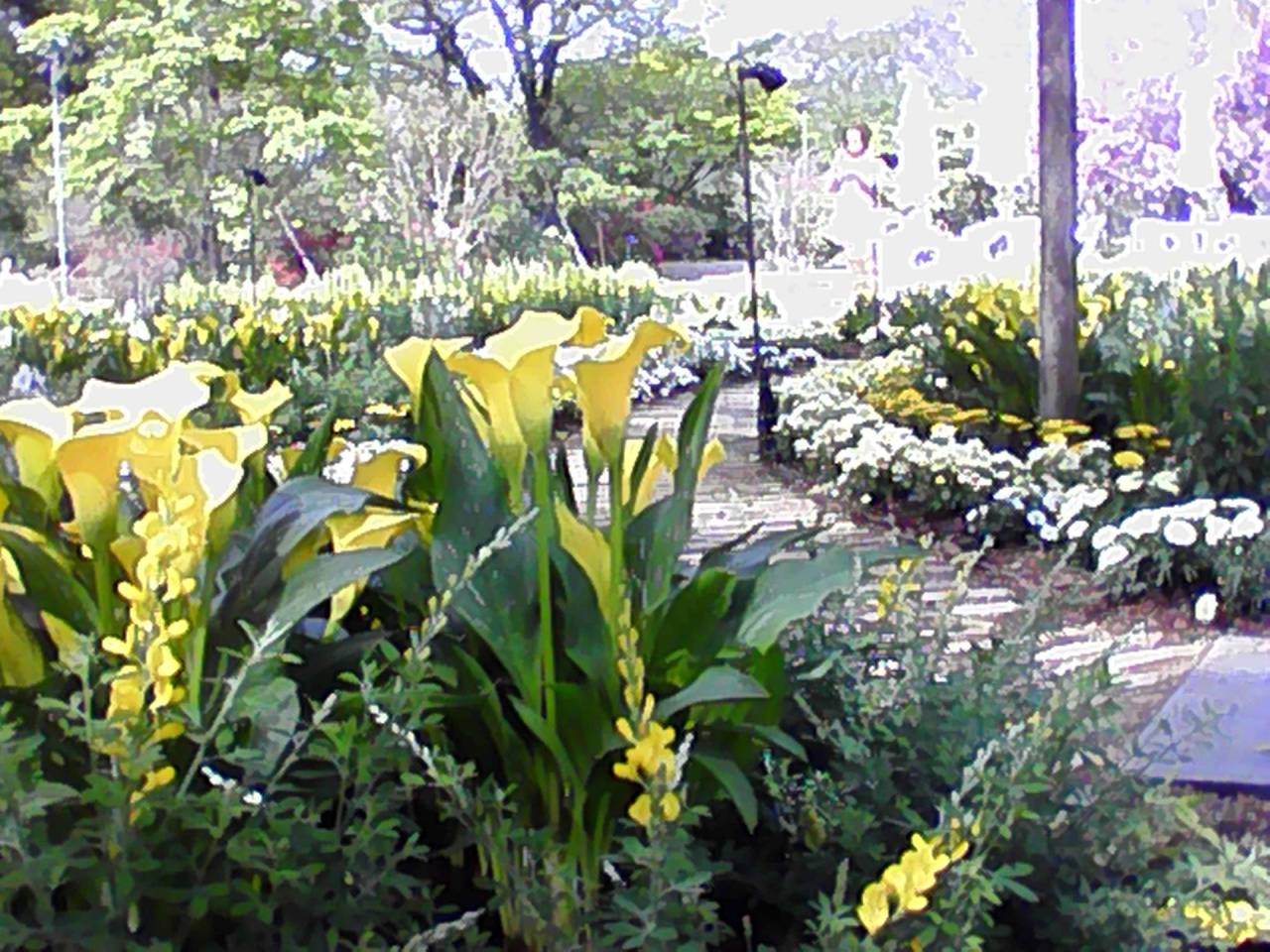 20260506144339.jpg